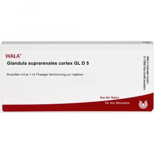 GLANDULA SUPRARENALES cortex GL D 5 Ampullen