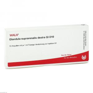 GLANDULA SUPRARENALES dextra GL D 10 Ampullen
