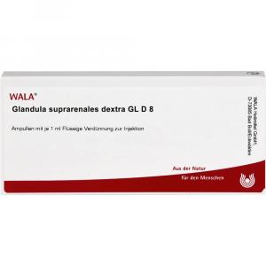 GLANDULA SUPRARENALES dextra GL D 8 Ampullen