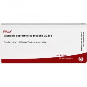 GLANDULA SUPRARENALES Medulla GL D 6 Ampullen