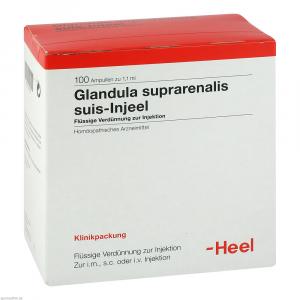 GLANDULA SUPRARENALIS suis Injeel Ampullen