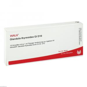 GLANDULA THYREOIDEA GL D 10 Ampullen
