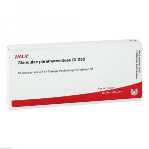 GLANDULAE PARATHYREOIDEAE GL D 30 Ampullen