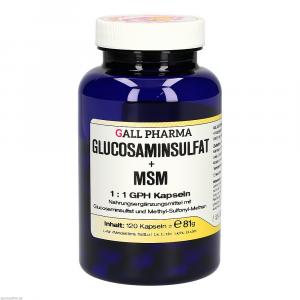 GLUCOSAMINSULFAT+MSM 1:1 GPH Kapseln