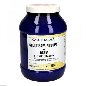 GLUCOSAMINSULFAT+MSM 1:1 GPH Kapseln