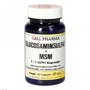 GLUCOSAMINSULFAT+MSM 1:1 GPH Kapseln
