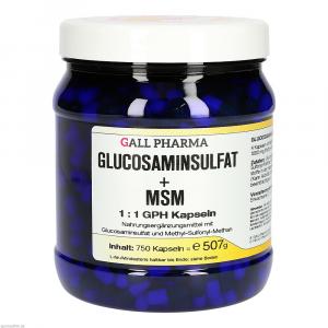 GLUCOSAMINSULFAT+MSM 1:1 GPH Kapseln