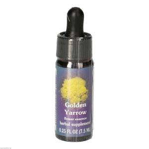 GOLDEN YARROW FES kalifornische Blütenessenz Tro.