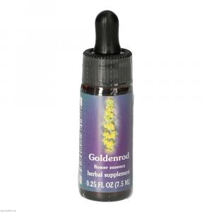 GOLDENROD FES kalifornische Blütenessenz Tropfen