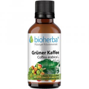 GRÜNER KAFFEE Tinktur
