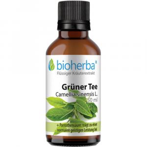 GRÜNER TEE Tinktur