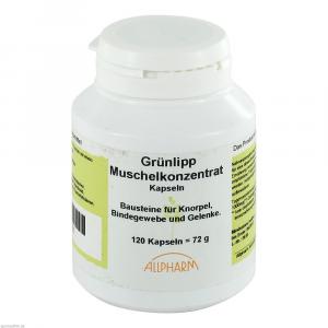 GRÜNLIPPMUSCHEL KONZENTRAT 500 mg Kapseln