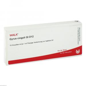 GYRUS cinguli GL D 12 Ampullen