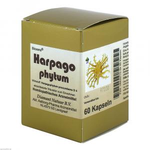 HARPAGOPHYTUM BIOXERA Kapseln