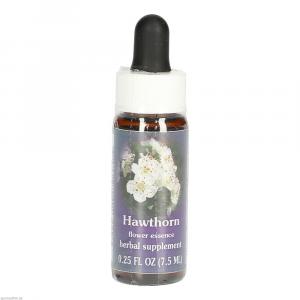 HAWTHORN FES kalifornische Blütenessenz Tropfen
