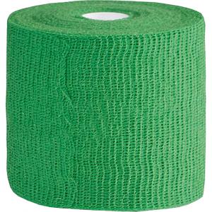 HÖGA-HAFT Color Fixierb.10 cmx20 m grün