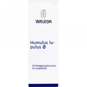 HUMULUS Lupulus Urtinktur