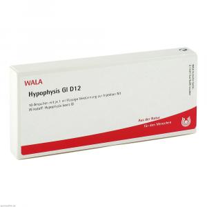 HYPOPHYSIS GL D 12 Ampullen