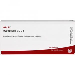 HYPOPHYSIS GL D 5 Ampullen