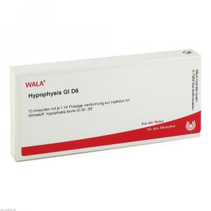 HYPOPHYSIS GL D 6 Ampullen