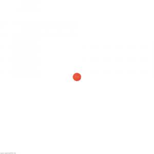 IGELBALL 6 cm orange