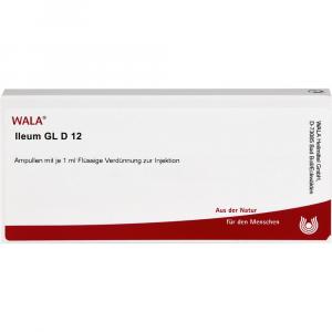 ILEUM GL D 12 Ampullen