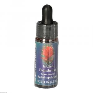 INDIAN Paintbrush FES kaliforn.Blütenessenz Tropf.