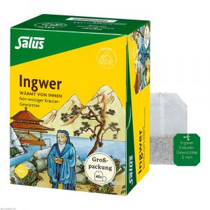 INGWER KRÄUTER-GEWÜRZTEE-Mischung Bio Salus Fbtl.