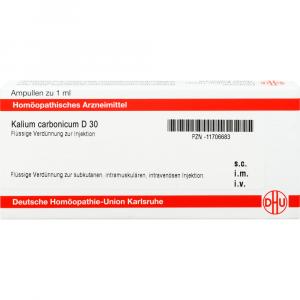 KALIUM CARBONICUM D 30 Ampullen