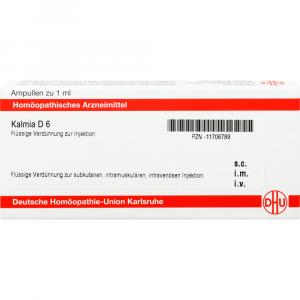 KALMIA D 6 Ampullen