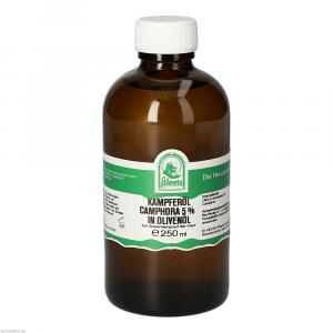 KAMPFERÖL Camphora 5% in Olivenöl