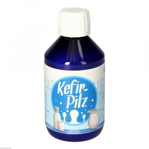 KEFIR Pilz zur Bereitung aus Milch