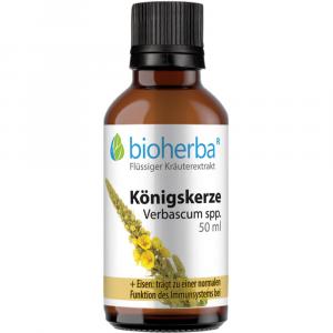 KÖNIGSKERZE Verbascum spp.Tinktur