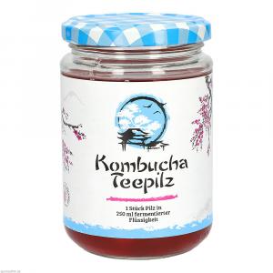 KOMBUCHA TEEPILZ