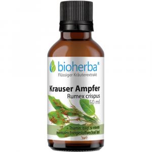 KRAUSER AMPFER Rumex crispus Tinktur