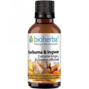 KURKUMA & INGWER Tinktur