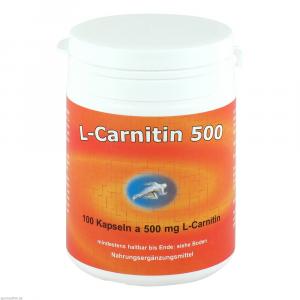 L-CARNITIN KAPSELN 500 mg
