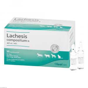 LACHESIS COMPOSITUM N ad us.vet.Ampullen