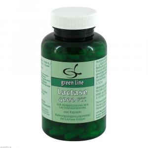 LACTASE 4.000 FCC Kapseln