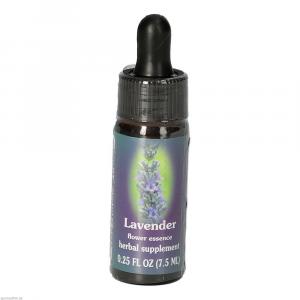 LAVENDER FES kalifornische Blütenessenz Tropfen