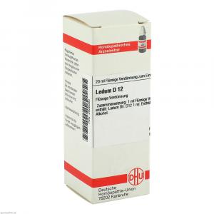 LEDUM D 12 Dilution