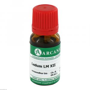 LEDUM LM 12 Dilution
