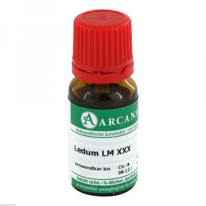 LEDUM LM 30 Dilution