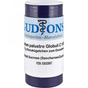 LEDUM PALUSTRE C 1000 Einzeldosis Globuli