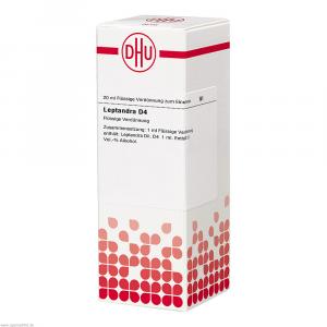 LEPTANDRA D 4 Dilution