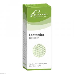 LEPTANDRA SIMILIAPLEX