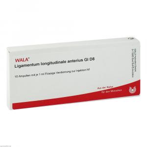 LIGAMENTUM LONGITUDINALE anterius GL D 8 Ampullen