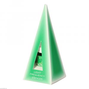 LIGHT FREQUENCY Amazon Essence Tropfen