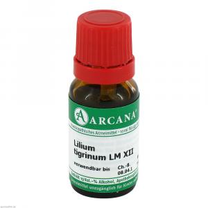 LILIUM TIGRINUM LM 12 Dilution