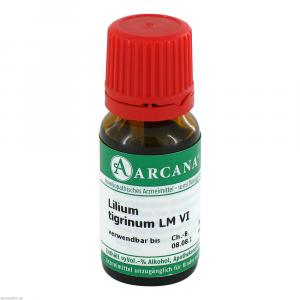 LILIUM TIGRINUM LM 6 Dilution LILIUM TIGRINUM LM 6 Dilution